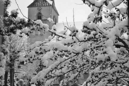 Winterkirche St. Jacobi ist schön, sehr schön sogar. Aber im Winter spürt man in besonderer Weise auch die Größe der St. Jacobi-Kirche. Bekanntlich steigt die Wärme nach oben.