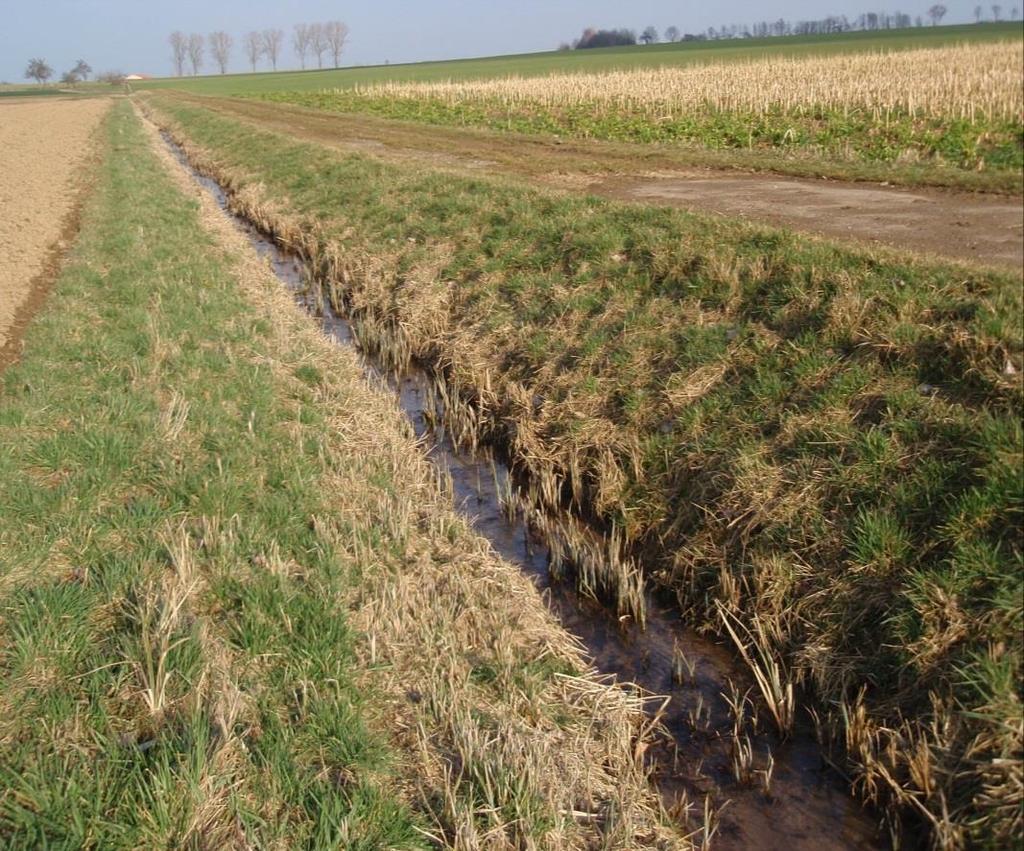 periodisch wasserführend periodisch bedeutet so viel wie regelmäßig Merkmale: Grabensohle mit typischer Wasser-Vegetation bewachsen (Schilf)