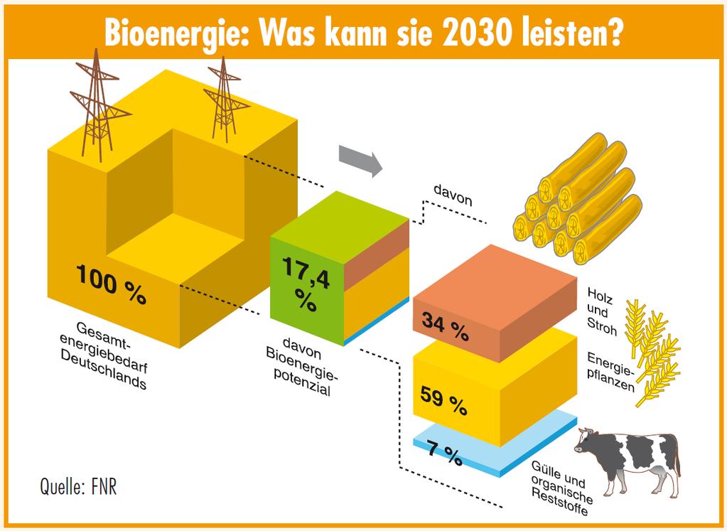 Bedeutung der Bioenergie für