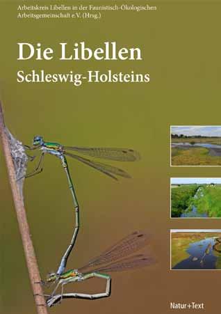 Flora und Fauna Die Libellen Schleswig-Holsteins NEU 2015 Libellen flogen schon vor 300 Millionen Jahren über die Erde. Damals erreichten sie Flügelspannweiten von über 70 Zentimeter.