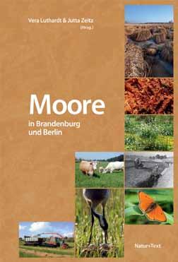 Wissen und Information Moore in Brandenburg und Berlin Moore sind faszinierend, vielfältig, kompliziert zu nutzen und reagieren sensibel auf Veränderungen.