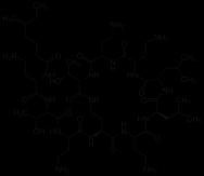 Colistin Colistin = polymyxin E: kationisches Polypeptid, dass mit dem Lipopolysaccharid (LPS) der Zellwand Gram-negativer Bakterien interagiert Humanmedizin: seit 1959 selten eingesetzt, z.b.