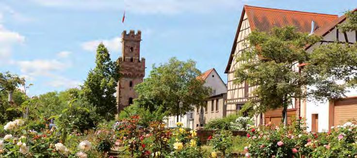Römer und Kultur in Obernburg Im Herzen von Churfranken, eingebettet zwischen Spessart und Odenwald liegt die Römerstadt Obernburg direkt am UNESCO-Welterbe Mainlimes.