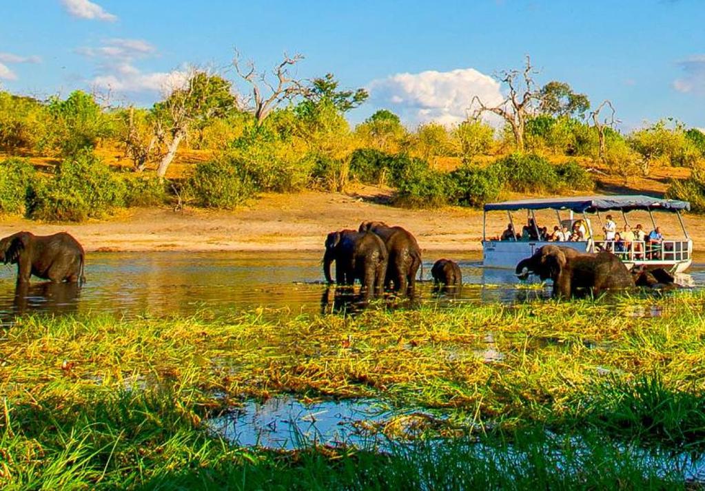 BOTSWANA / SIMBABWE CHOBE &