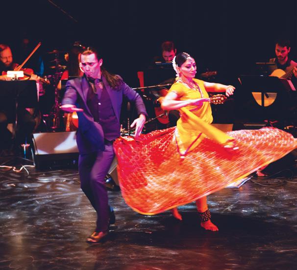 Kulturprogramm in der Stadthalle Heidelberg Donnerstag Flamenco India Beginn, 20.