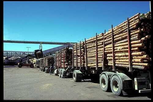 Mit der Zertifizierung garantieren wir, dass das eingesetzte Holz aus nachhaltig bewirtschafteten