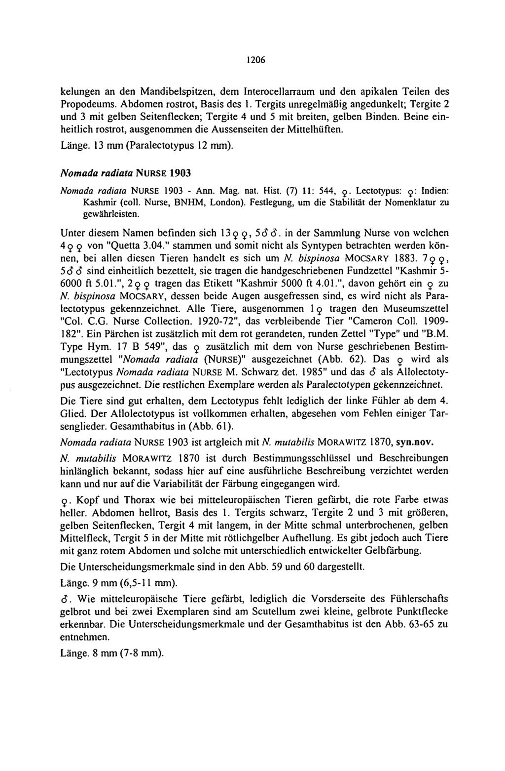 1206 kelungen an den Mandibelspitzen, dem Interocellarraum und den apikalen Teilen des Propodeums. Abdomen rostrot, Basis des 1.