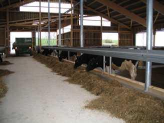 Fütterungssystem TMR Für große, leistungsstarke Herden