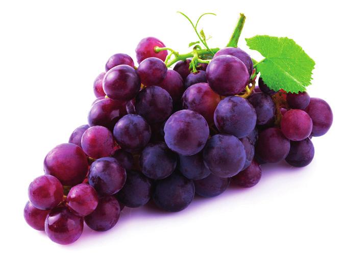 traubenkern acerola Vino C OPC ist ein Nahrungsergänzungsmittel aus Traubenkernkonzentrat- und Acerolapulver, das in Kapseln angeboten wird.
