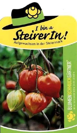 Ochsenherz- Tomate "Fleurette" Gleichmäßige Fruchtbildung auf der gesamten kräftigen