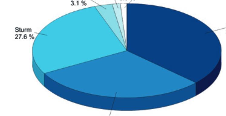 Schäden an KGV-Gebäuden durch Naturgefahren 1991 2010 in der Schweiz Lawinen ~1% Schneedruck ~3% Rutsch/Sturz ~1.