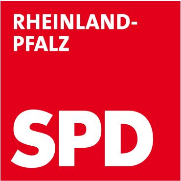 Studie der SPD Rheinland-Pfalz zum GroKo-Mitgliedervotum - Erste Auswertung - Tischvorlage Pressekonferenz, 12.