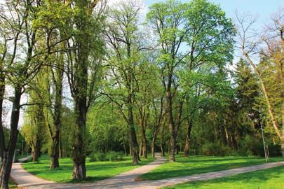 13 13 13 Kurpark Kurinsel und Stadtpark Diese beiden Parks von Piešťany liegen im Überschwemmungsgebiet des