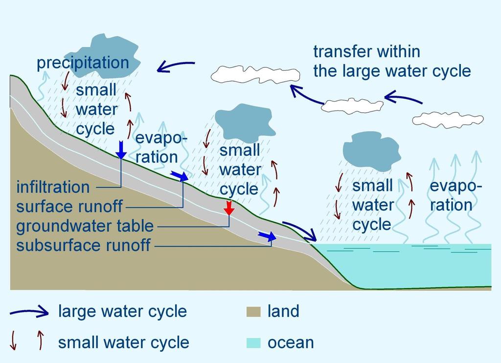 Grosser und kleiner Wasserkreislauf