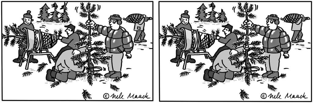 Beruf der Woche: Tannenbaumverkäufer Finden Sie 6 Fehler im rechten Bild Auch in dieser Woche zeichnete Illustratorin Nele Maack aus Hamburg für den reporter exklusiv eines ihrer beliebten