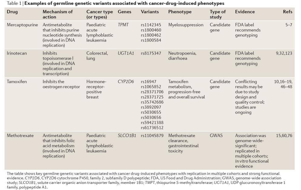 Nutzen für patientenorientierte Forschung I Germline mutations in cancer pharmacogenomics 1 NATURE REVIEWS GENETICS