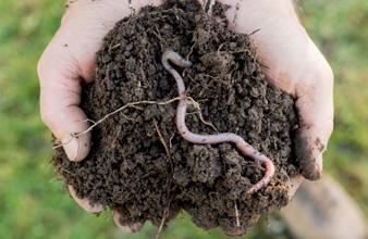Durch die unterschiedlichen Formen der Bodenbearbeitung nimmt der Landwirt aktiv Einfluss auf das Bodengefüge.