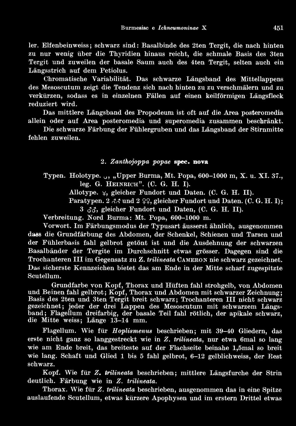 5 Burmesisclie Ichneumoninae X 451 ler.