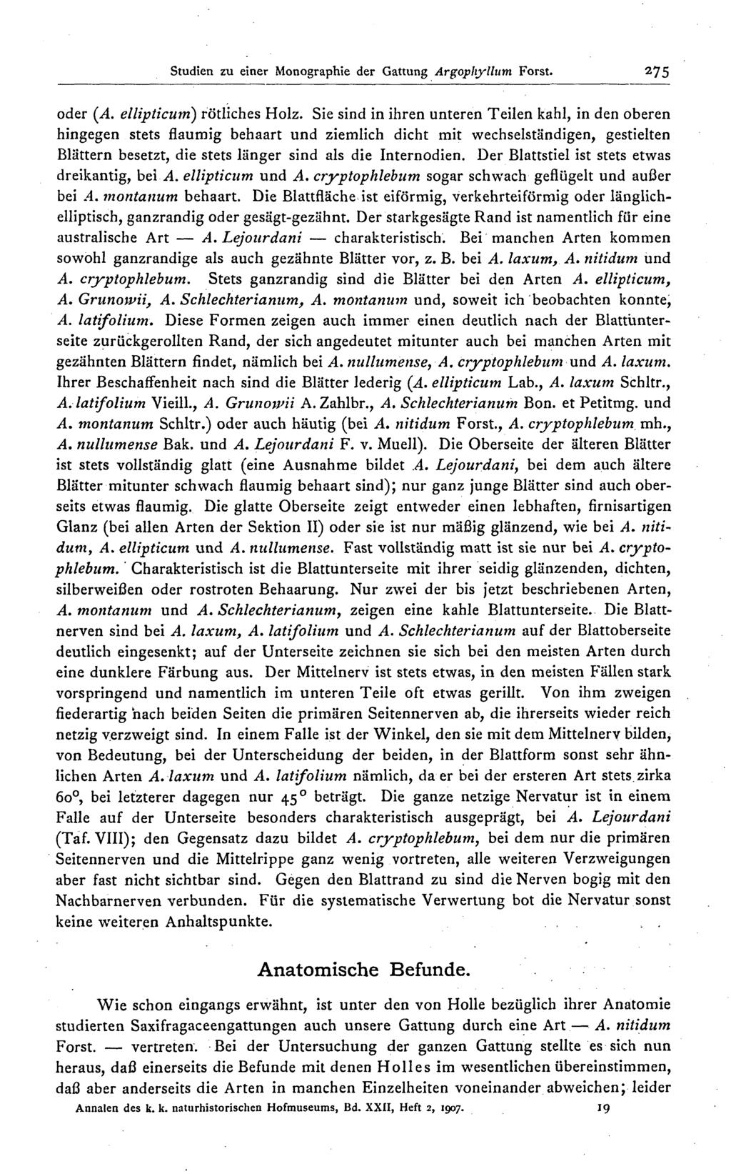 Studien zu einer Monographie der Gattung Argopltyllum Forst- 275 oder (A. ellipticum) rötliches Holz.