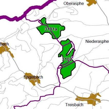 Nummer: 3102 Bestand: Planung: Grösse (ha): 88 Landkreis(e): Landkreis MarburgBiedenkopf Kommune(n): Biedenkopf, Münchhausen, Wetter(Hessen) Gemarkung(en): Engelbach, Niederasphe, Treisbach