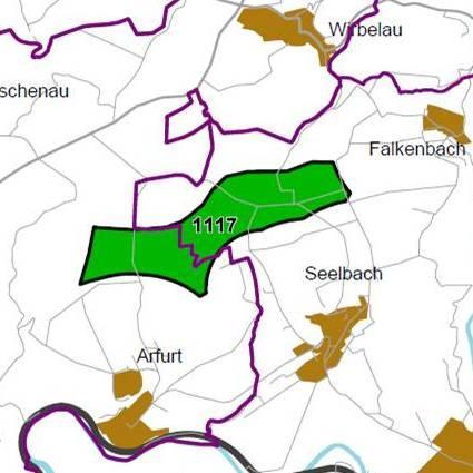 Nummer: 1117 Bestand: Planung: Grösse (ha): 152 Landkreis(e): Landkreis LimburgWeilburg Kommune(n): Runkel, Villmar Gemarkung(en): Arfurt, Falkenbach, Seelbach Waldanteil (%): 6 Laubwaldanteil: 2