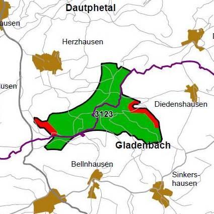 Nummer: 3123 Bestand: Planung: Grösse (ha): 297 Landkreis(e): Landkreis MarburgBiedenkopf Kommune(n): Gladenbach, Dautphetal Gemarkung(en): Bellnhausen, Diedenshausen, Runzhausen, Sinkershausen,