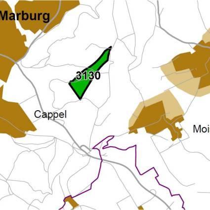 Nummer: 3130 Bestand: Planung: Grösse (ha): 20 Landkreis(e): Landkreis MarburgBiedenkopf Kommune(n): Marburg Gemarkung(en): Cappel Waldanteil (%): 100 Laubwaldanteil: 19 Nadelwaldanteil: 57