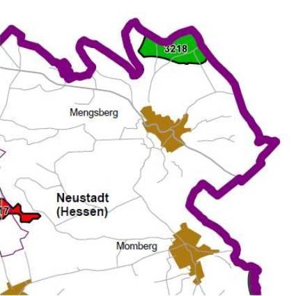 Nummer: 3218 Bestand: Planung: Grösse (ha): 61 Landkreis(e): Landkreis MarburgBiedenkopf Kommune(n): Neustadt (Hessen) Gemarkung(en): Mengsberg Waldanteil (%): 100 Laubwaldanteil: 17 Nadelwaldanteil: