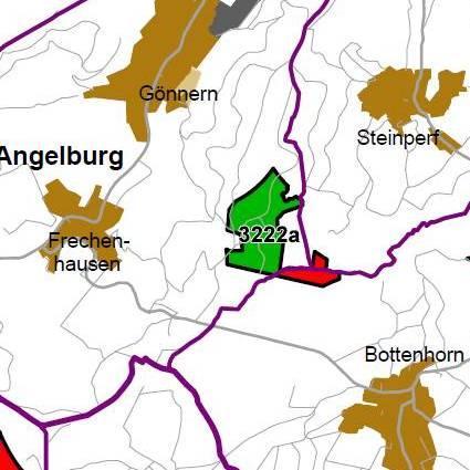 Nummer: 3222 Bestand: Planung: Grösse (ha): 48 Landkreis(e): Landkreis MarburgBiedenkopf Kommune(n): Bad Endbach, Angelburg, Steffenberg Gemarkung(en): Bottenhorn, Gönnern, Steinperf Waldanteil (%):