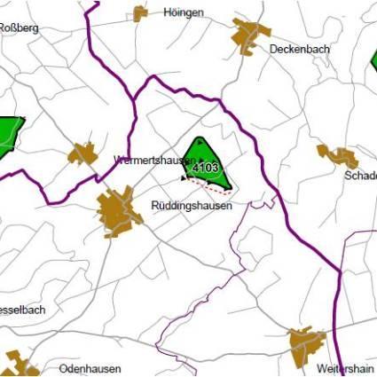 Nummer: 4103 Bestand: Planung: Grösse (ha): 42 Landkreis(e): Landkreis Gießen Kommune(n): Rabenau Gemarkung(en): Rüddingshausen Waldanteil (%): 11 Laubwaldanteil: 1 Nadelwaldanteil: 8