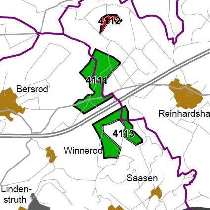 Nummer: 4113 Bestand: Planung: Grösse (ha): 41 Landkreis(e): Landkreis Gießen Kommune(n): Grünberg, Reiskirchen Gemarkung(en): Reinhardshain, Saasen Waldanteil (%): 100 Laubwaldanteil: 19
