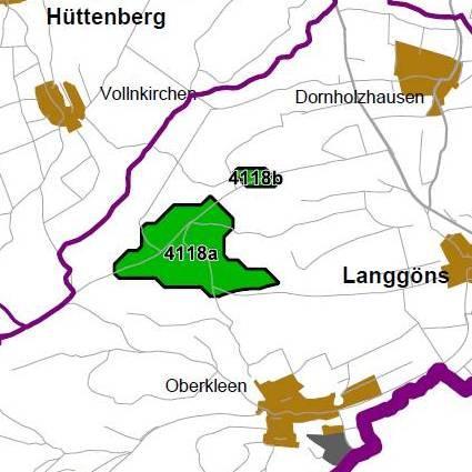 Nummer: 4118 Bestand: Planung: Grösse (ha): 108 Landkreis(e): Landkreis Gießen Kommune(n): Langgöns Gemarkung(en): Dornholzhausen, Niederkleen, Oberkleen Waldanteil (%): 93 Laubwaldanteil: 34