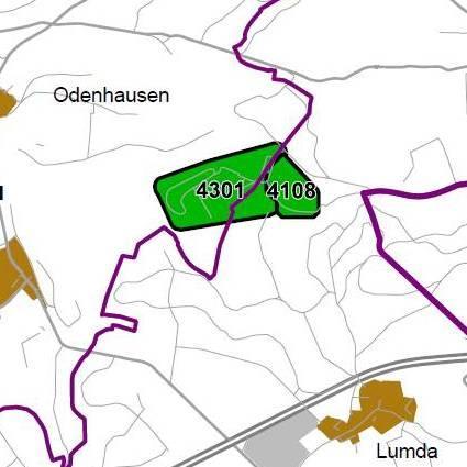 Nummer: 4301 Bestand: Planung: Grösse (ha): 65 Landkreis(e): Landkreis Gießen Kommune(n): Rabenau, Grünberg Gemarkung(en): Geilshausen, Odenhausen, Lumda, Weitershain Waldanteil (%): 86