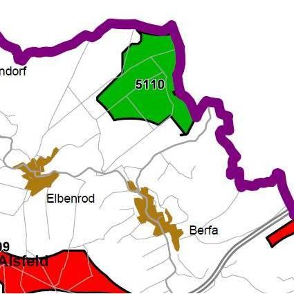 Nummer: 5110 Bestand: Planung: Grösse (ha): 149 Landkreis(e): Vogelsbergkreis Kommune(n): Alsfeld Gemarkung(en): Berfa, Elbenrod Waldanteil (%): 99 Laubwaldanteil: 0 Nadelwaldanteil: 99