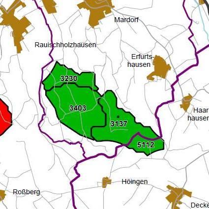 Nummer: 5112 Bestand: Planung: Grösse (ha): 37 Landkreis(e): Landkreis MarburgBiedenkopf, Vogelsbergkreis Kommune(n): Amöneburg, Homberg(Ohm) Gemarkung(en): Erfurtshausen, Deckenbach Waldanteil (%):