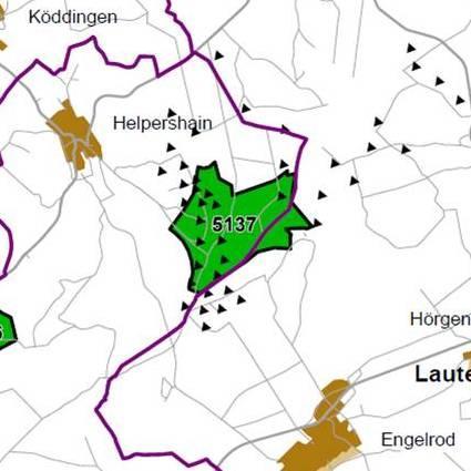 Nummer: 5137 Bestand: Planung: Grösse (ha): 103 Landkreis(e): Vogelsbergkreis Kommune(n): Lautertal(Vogelsberg), Ulrichstein Gemarkung(en): Engelrod, Helpershain Waldanteil (%): 52 Laubwaldanteil: 0