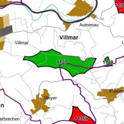 Nummer: 1127 Bestand: Planung: Grösse (ha): 176 Landkreis(e): Landkreis LimburgWeilburg Kommune(n): Villmar, Selters(Taunus) Gemarkung(en): Langhecke, Villmar, Weyer, Münster Waldanteil (%): 66