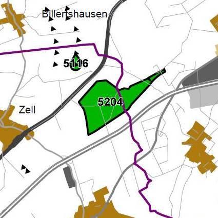 Nummer: 5204 Bestand: Planung: Grösse (ha): 69 Landkreis(e): Vogelsbergkreis Kommune(n): Alsfeld, Romrod Gemarkung(en): Alsfeld, Leusel, Liederbach, Romrod, Zell Waldanteil (%): 44 Laubwaldanteil: 4