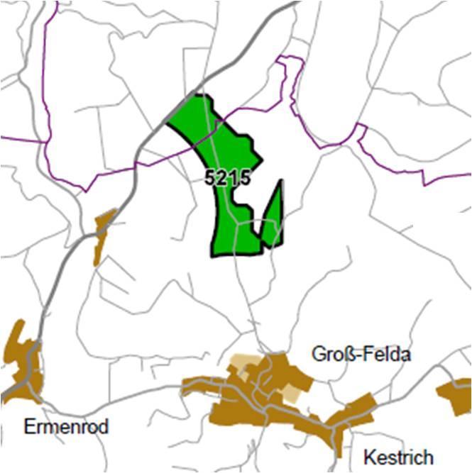 Nummer: 5215 Bestand: Planung: Grösse (ha): 75 Landkreis(e): Vogelsbergkreis Kommune(n): Feldatal, Romrod Gemarkung(en): GroßFelda, Zell Waldanteil (%): 62 Laubwaldanteil: 0 Nadelwaldanteil: 36