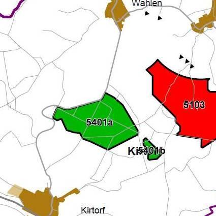 Nummer: 5401 Bestand: Planung: Grösse (ha): 135 Landkreis(e): Vogelsbergkreis Kommune(n): Kirtorf Gemarkung(en): Arnshain, Kirtorf, Wahlen Waldanteil (%): 100 Laubwaldanteil: 5 Nadelwaldanteil: 60