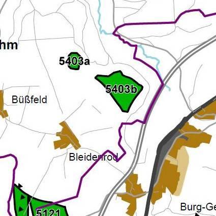 Nummer: 5403 Bestand: Planung: Grösse (ha): 38 Landkreis(e): Vogelsbergkreis Kommune(n): Homberg (Ohm) Gemarkung(en): Bleidenrod Waldanteil (%): 88 Laubwaldanteil: 18 Nadelwaldanteil: 32