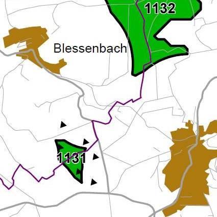 Nummer: 1131 Bestand: Planung: Grösse (ha): 16 Landkreis(e): Landkreis LimburgWeilburg Kommune(n): Weinbach, Weilmünster Gemarkung(en): Blessenbach, Laubuseschbach Waldanteil (%): 0 Laubwaldanteil: 0
