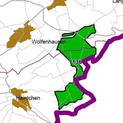 Nummer: 1136 Bestand: Planung: Grösse (ha): 192 Landkreis(e): Landkreis LimburgWeilburg Kommune(n): Selters (Taunus), Weilmünster Gemarkung(en): Haintchen, Langenbach, Laubuseschbach Waldanteil (%):