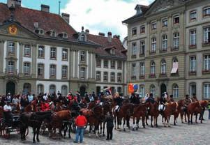 Petitionsübergabe für das Schweizer Nationalgestüt auch hier sind die Fohlen mit von der Partie Die Stimmung bei den Fahrern und Reitern war sehr gut.