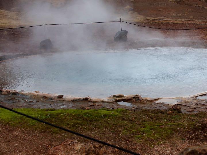 Mikroorganismen im Photobioreaktor- Ökosystem Ines Fritz BOKU,