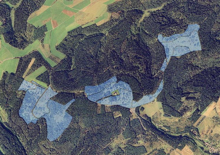 Beispiele für betreute Landschaftsteile Betreuungsflächen mit Halbtrockenrasen in NSG bei Siebenbach Betreuungsflächen mit Wiesen im Mosbrucher Weiher Besonders beachtete Pflanzen- und Tierarten Die