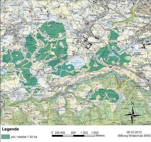 Abbildung 3: Potenzielles Braunkehlchen-Habitat mit Flächen >20 ha Die oben gezeigte, grün