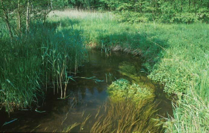Typ 19: Kleine Niederungsfließgewässer in Fluss- und Stromtälern Verbreitung in Gewässerlandschaften und Regionen nach Briem (2003): Ökoregion unabhängiger Typ.