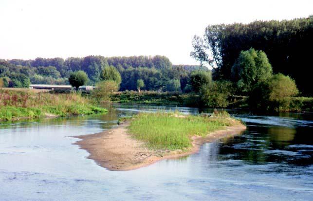 Typ 15: Sand- und lehmgeprägte Tieflandflüsse Verbreitung in Gewässerlandschaften und Regionen nach Briem (2003): Auen über 300 m Breite, Sander, Sandbedeckung, Lössregionen, Grundmoräne; auch in