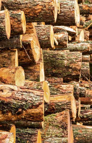 Biomasse wird im ökologisch sinnvollen Nährstoffkreislauf zugeführt und damit nachhaltig genutzt.